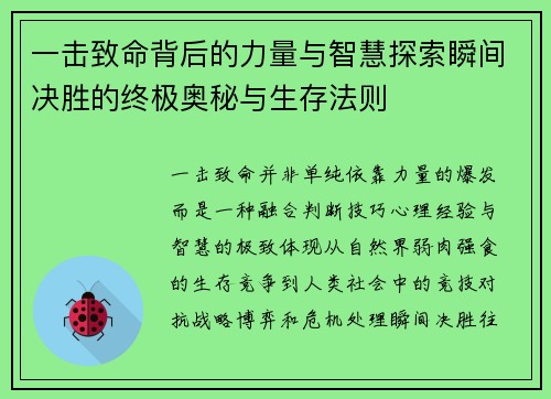 一击致命背后的力量与智慧探索瞬间决胜的终极奥秘与生存法则 一击致命背后的力量与智慧探索瞬间决胜的终极奥秘与生存法则